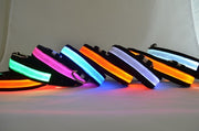 LED Light Up Dog Collar for Night Safety - photo 3