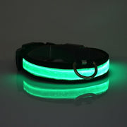 LED Light Up Dog Collar for Night Safety - photo 5