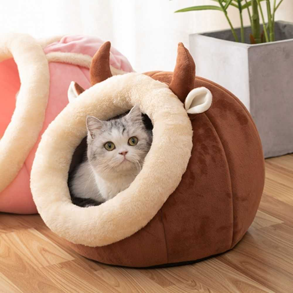 Cozy Semi-Enclosed Cat Nest Bed