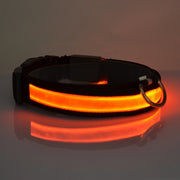 LED Light Up Dog Collar for Night Safety - photo 4