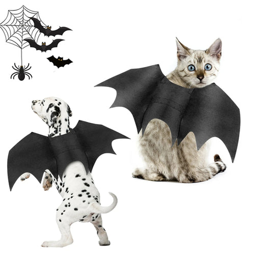 Halloween Bat Wings Costume for Cats and Dogs