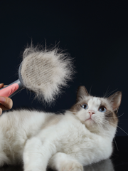Pet Grooming Comb for Cats and Dogs - photo 3