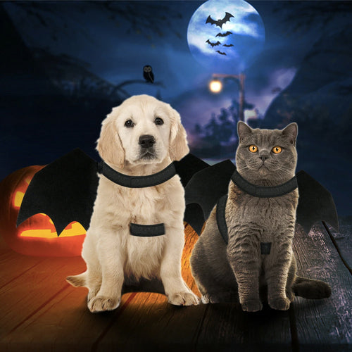 Halloween Bat Wings Costume for Cats and Dogs - photo 2